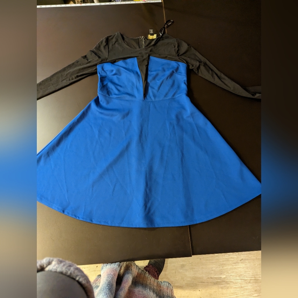 Forever 21+ Sheer Top Skater dress